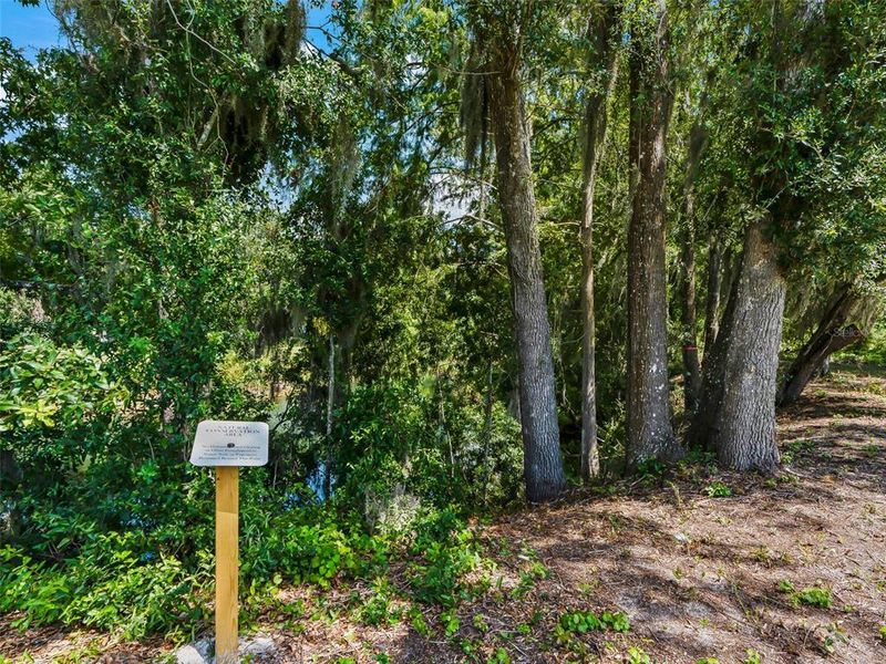 Natural landscape and outdoor views near Fox Pointe at Rivers Edge in Leesburg (Image 45).