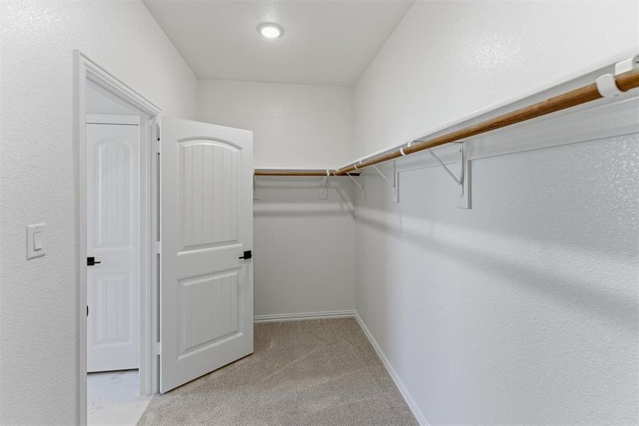 Walk in closet with light carpet