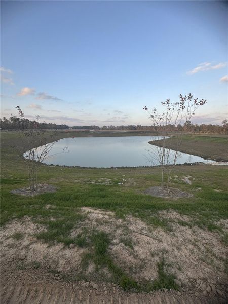 Natural landscape and outdoor views near  in Conroe (Image 24).