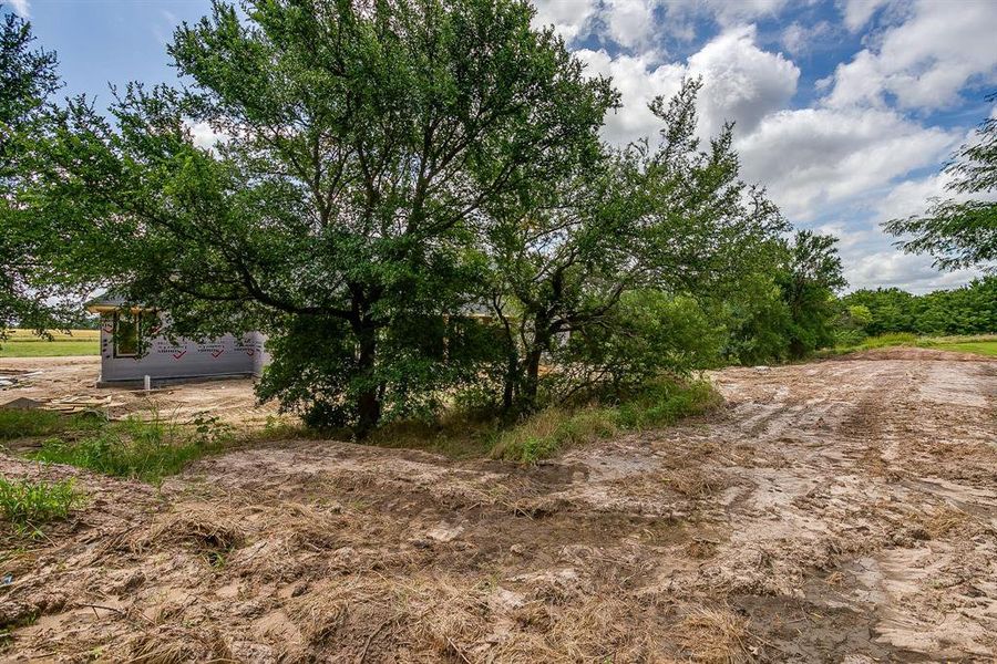 Natural landscape and outdoor views near  in Millsap (Image 9).
