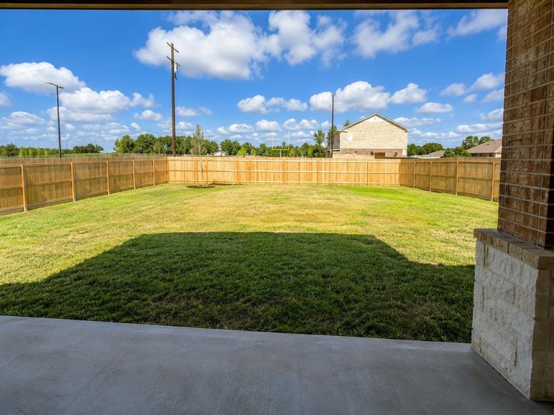 BIG Backyard