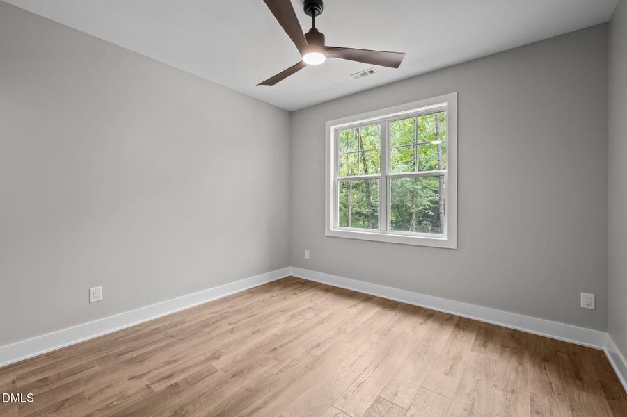 35-web-or-mls-P1086991