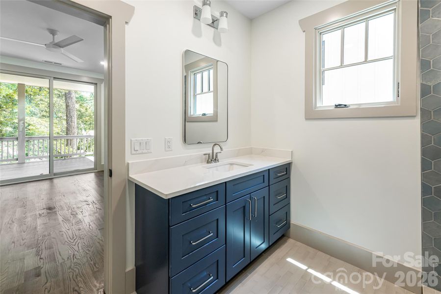 Lower level bathroom