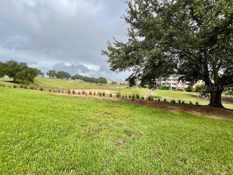 Natural landscape and outdoor views near  in Reunion (Image 6).
