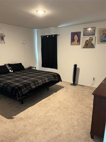 Bedroom featuring carpet floors Bedroom featuring carpet floors