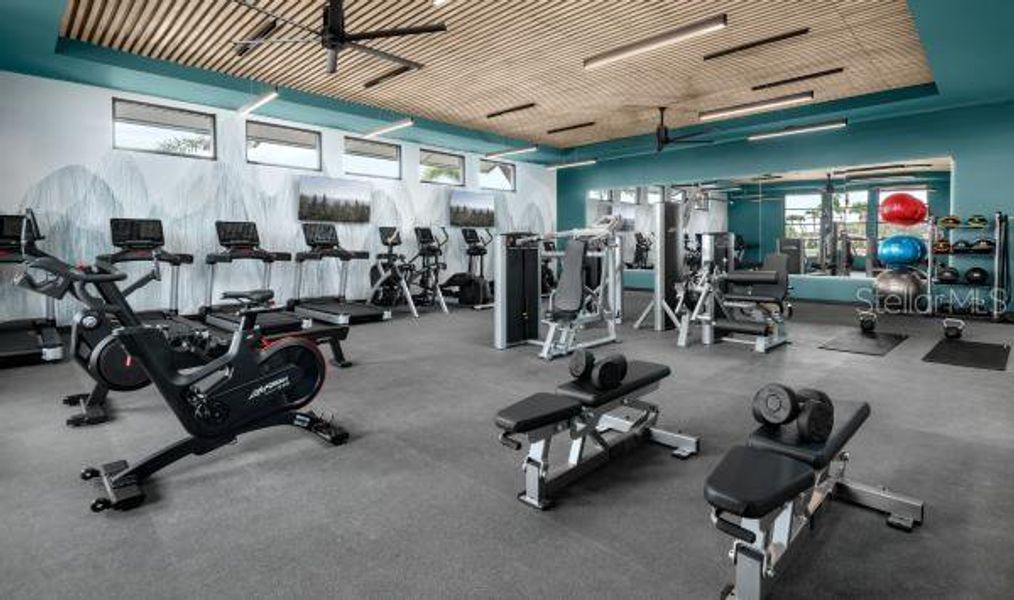 Community amenities in , Apollo Beach (Image 15). Community amenities in , Apollo Beach (Image 15).