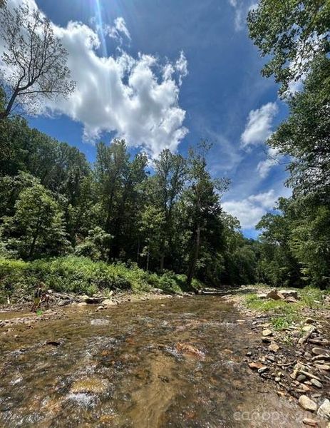 Natural landscape and outdoor views near  in Saluda (Image 18).