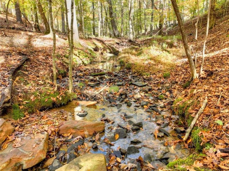 Natural landscape and outdoor views near  in Ellijay (Image 37).