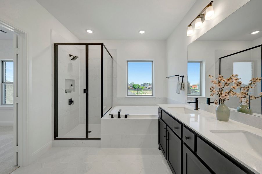 Owner's Bath