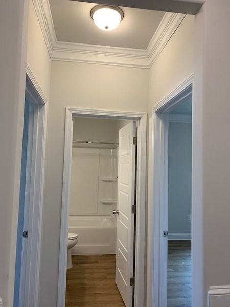 Spacious, unfurnished interior of a new home in Royal Pines, Trinity (Image 24). Spacious, unfurnished interior of a new home in Royal Pines, Trinity (Image 24).