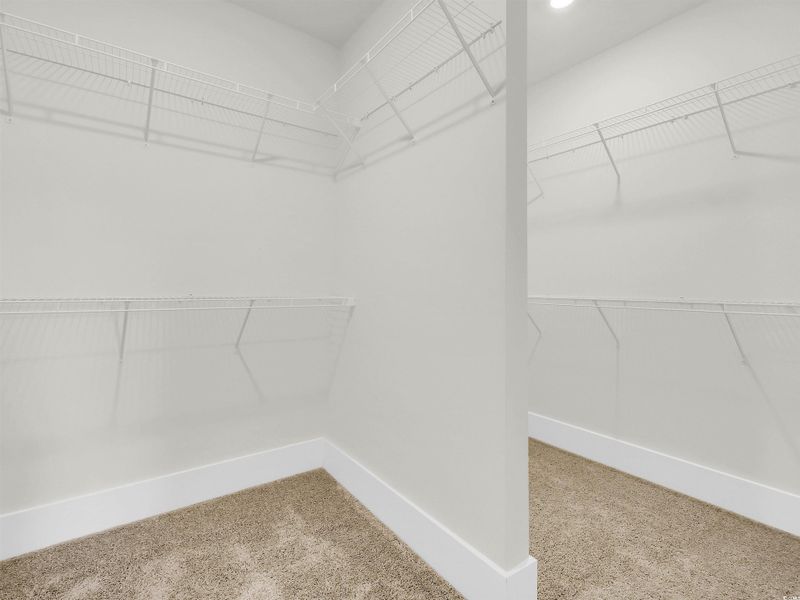 Spacious closet with light carpet