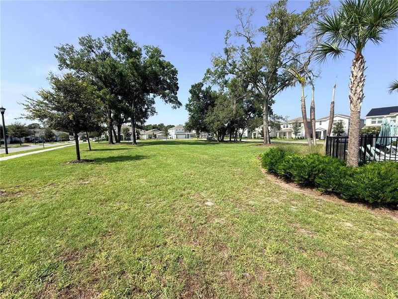 Natural landscape and outdoor views near Winding Meadows in Apopka (Image 29).