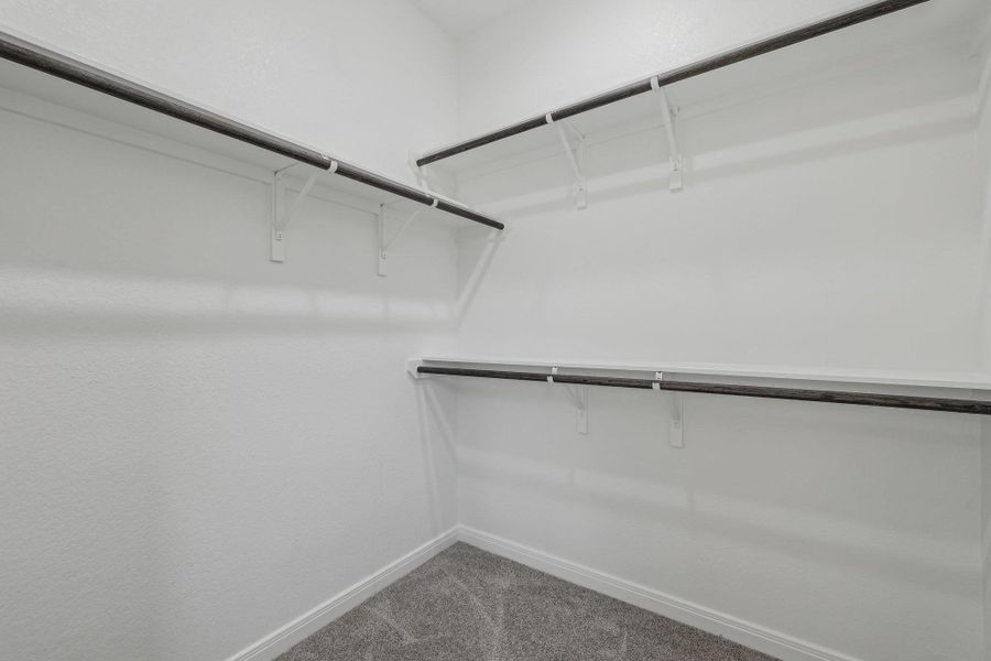Walk in closet featuring carpet Walk in closet featuring carpet