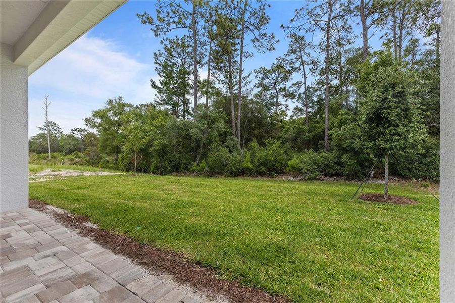 Exterior details and patio area of a home in The Reserve at Victoria, Deland (Image 28).