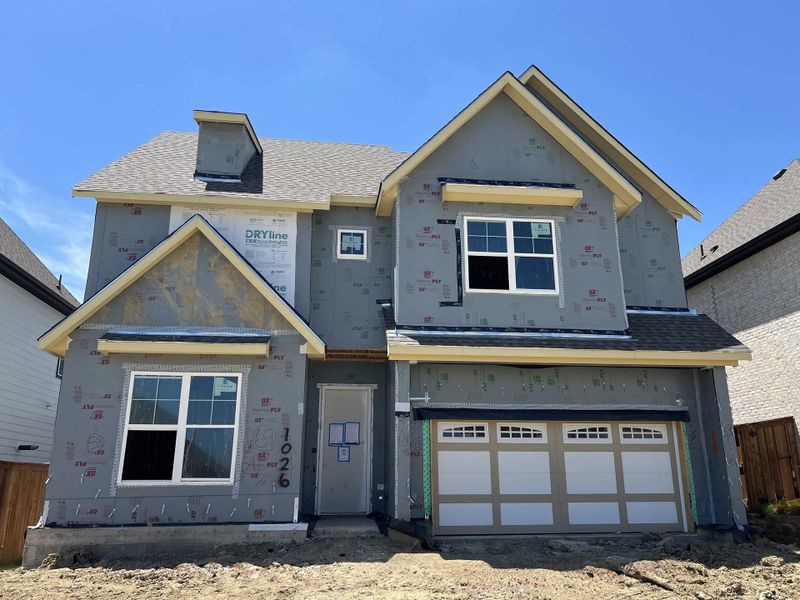 Exterior Design Construction Progress