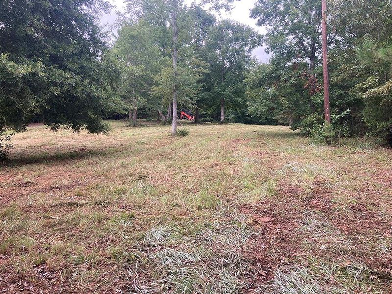 Natural landscape and outdoor views near  in White (Image 74).