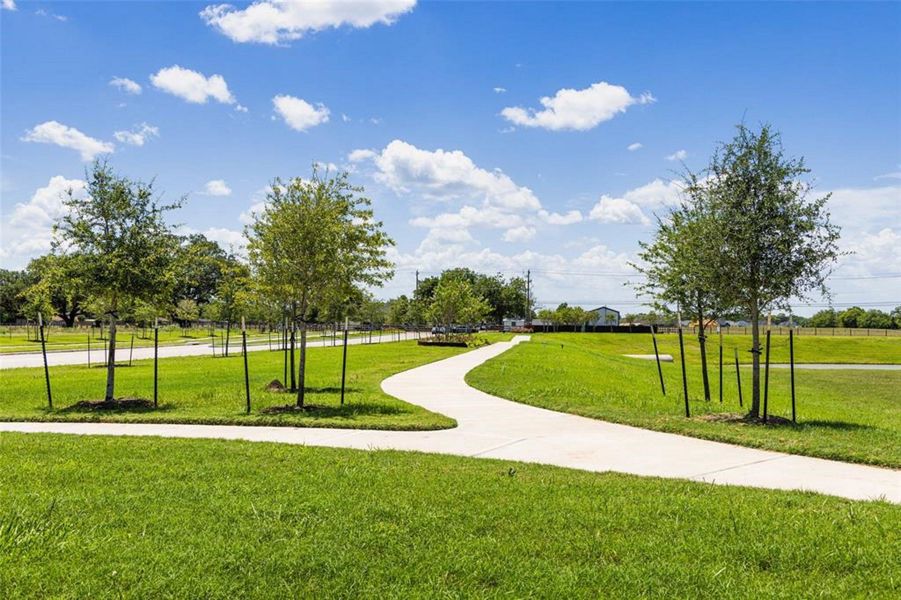 Natural landscape and outdoor views near Riverwood Ranch in Angleton (Image 19).