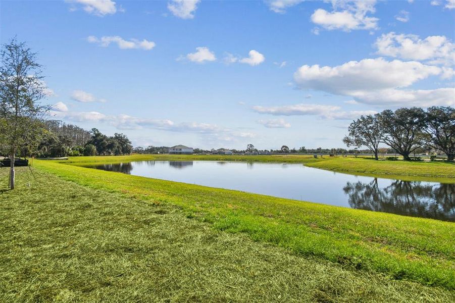 Natural landscape and outdoor views near Solace at Corner Lake in Orlando (Image 28). Natural landscape and outdoor views near Solace at Corner Lake in Orlando (Image 28).