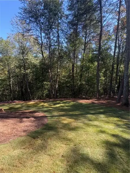 Natural landscape and outdoor views near  in Ball Ground (Image 22).