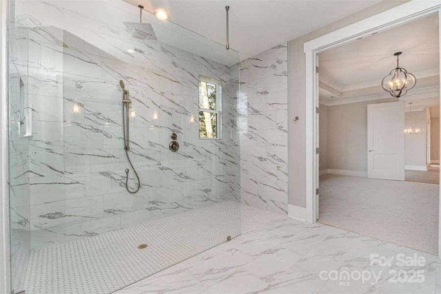 Primary Bath Curbless Walk-in Shower