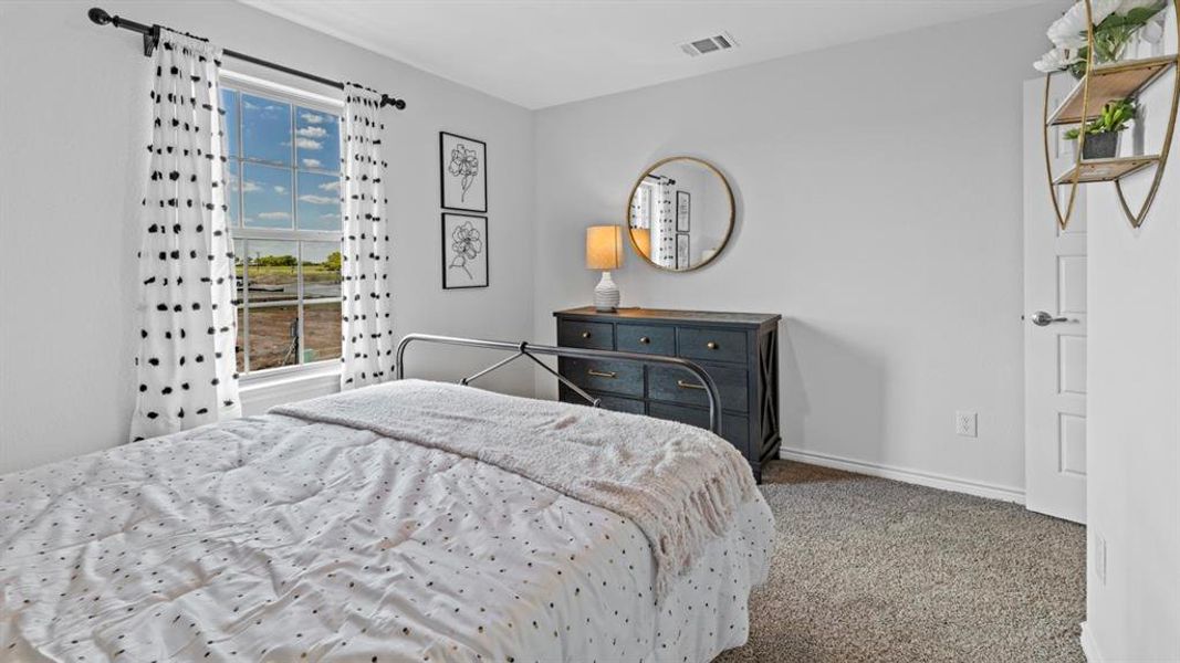 Bright room featuring a window with a pleasant outdoor expanse, light gray wall paint, textured carpet flooring, and white trim Bright room featuring a window with a pleasant outdoor expanse, light gray wall paint, textured carpet flooring, and white trim