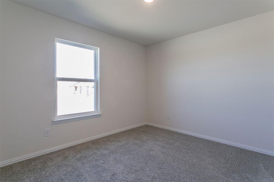 Spare room with carpet, a wealth of natural light, and baseboards Spare room with carpet, a wealth of natural light, and baseboards