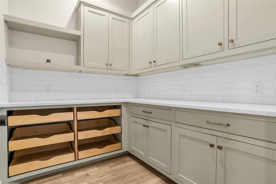 Walk-in Pantry with loads of storage space