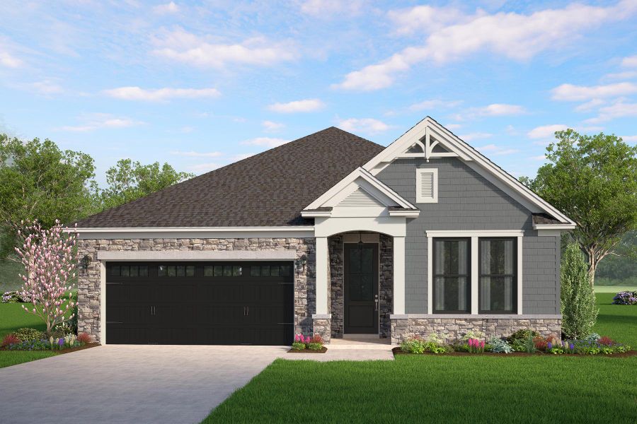 Pimlico 2- Aster Color Package Pimlico 2- Aster Color Package