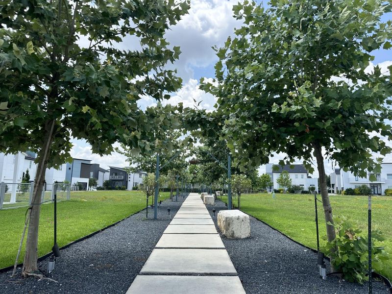 Lighted Path to Pool Lighted Path to Pool