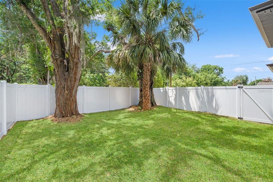 Exterior details and patio area of a home in , Tampa (Image 33).