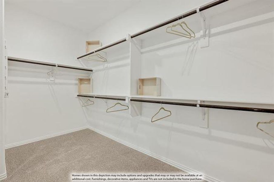 Walk in closet with light colored carpet
