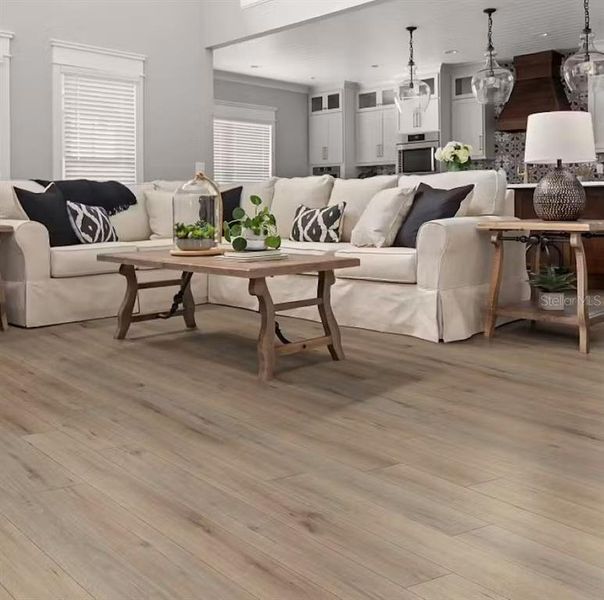 Furnished interior view inside a new home in Lakeside Preserve, Lakeland (Image 3).