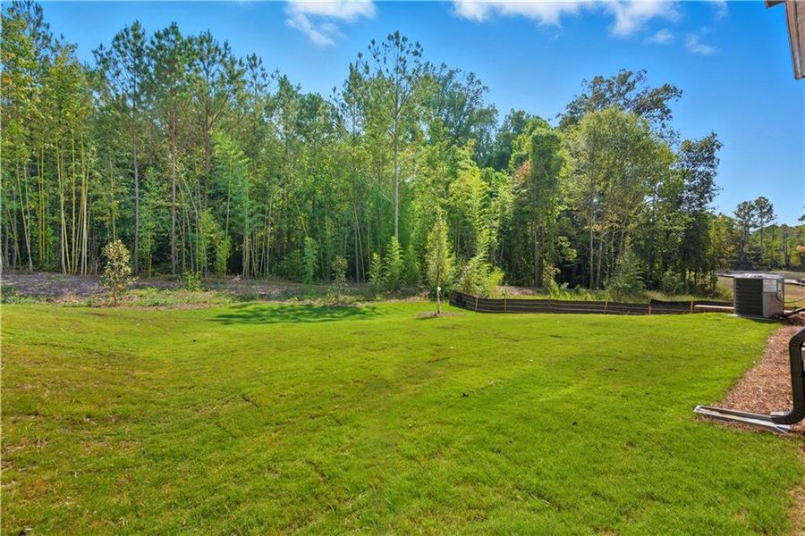 Natural landscape and outdoor views near Meadow Pines in Dallas (Image 25).