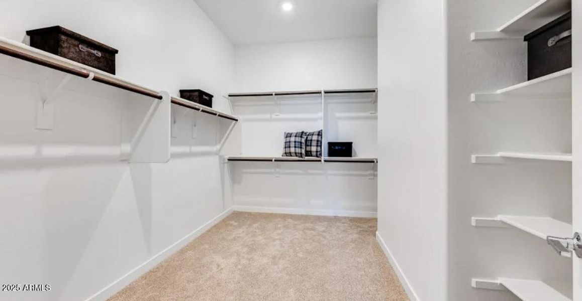 Owners Walk in Closet