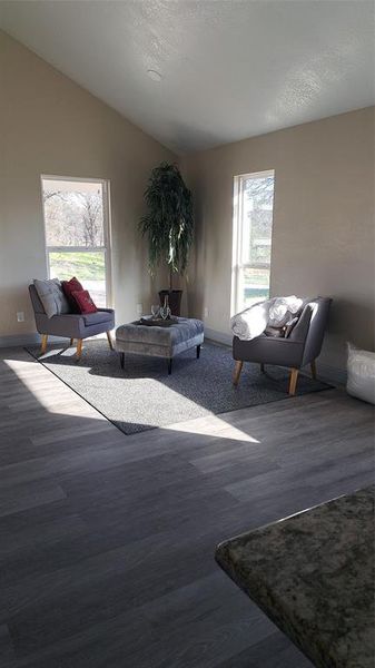 Living room featuring dark hardwood / wood-style floors, a textured ceiling, and vaulted ceiling