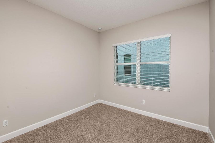 Lot-397-Marlberry-13861-Prickly-Cone-Cov Lot-397-Marlberry-13861-Prickly-Cone-Cov