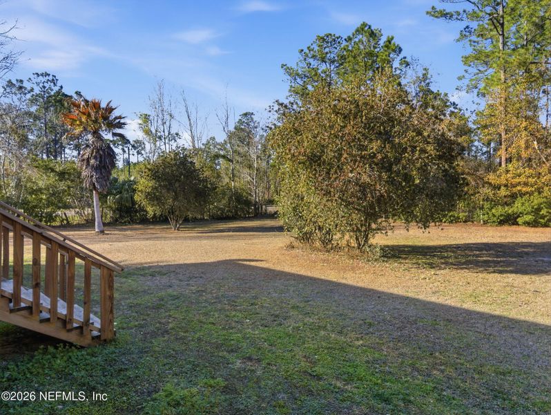 Natural landscape and outdoor views near  in Palatka (Image 29).