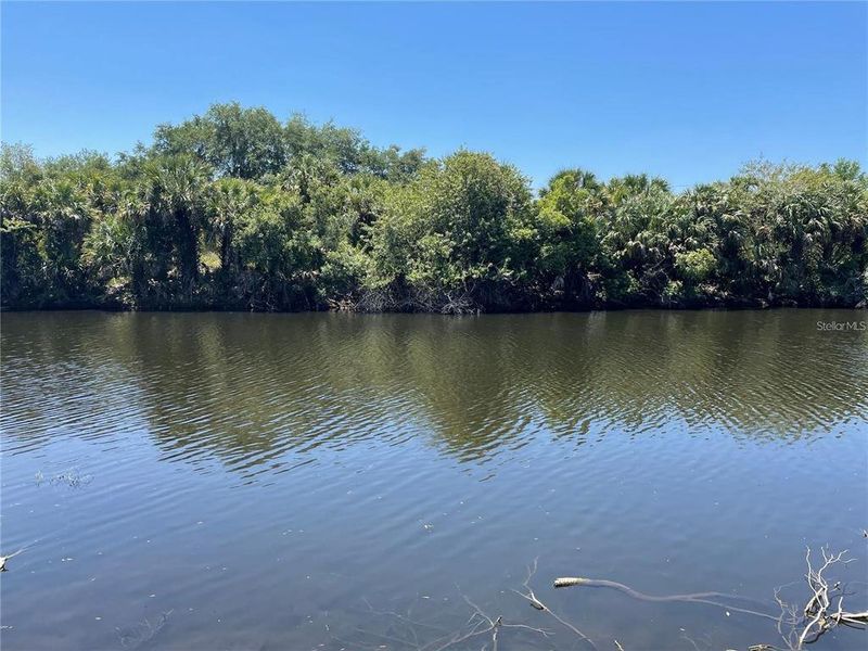 Natural landscape and outdoor views near  in North Port (Image 51).
