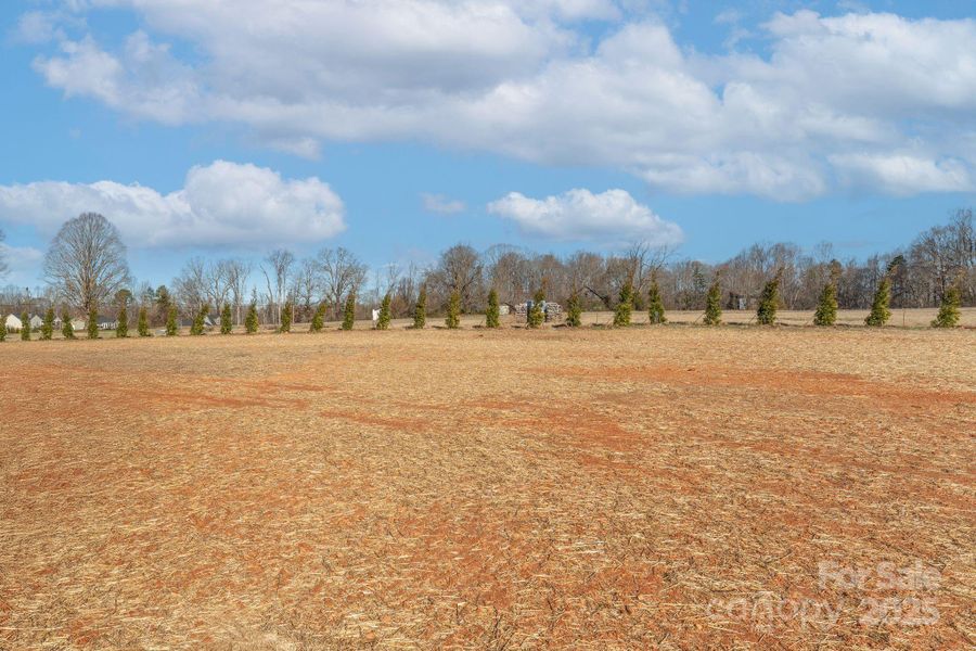 Site preparation for new homesites in , Lexington (Image 42).