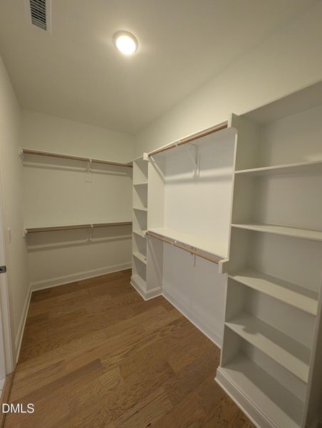 PXL_20251120_142925862 PXL_20251120_142925862