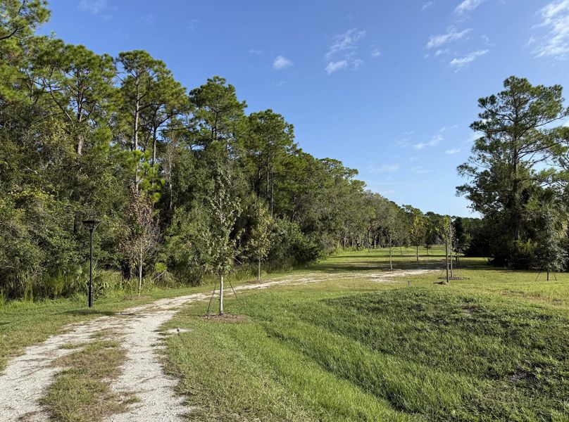 Take in the beautiful natural surroundings on the community walking trail Take in the beautiful natural surroundings on the community walking trail