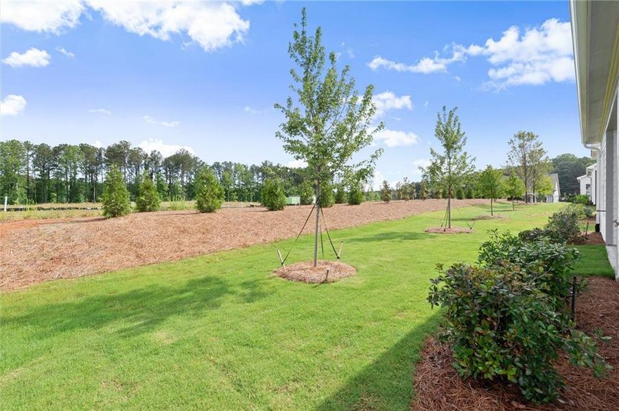 Exterior details and patio area of a home in , Kennesaw (Image 34).