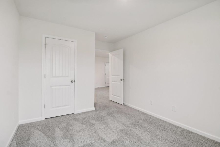 Needle Palm Rd NW-012 (1)