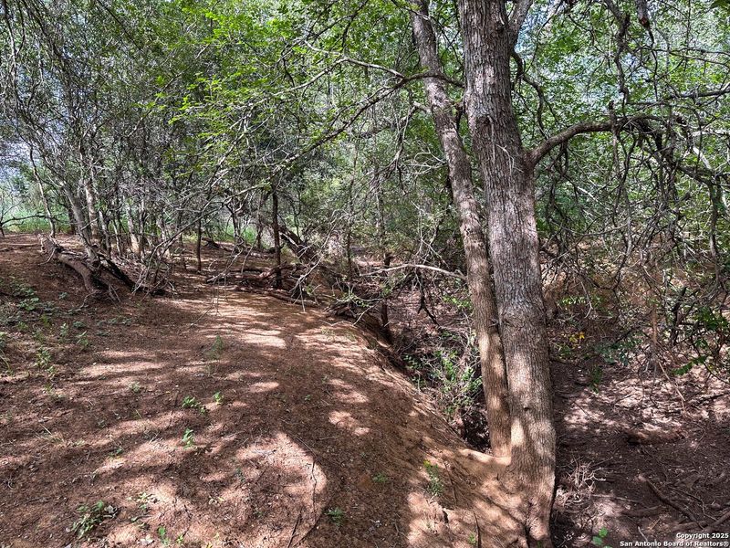 Natural landscape and outdoor views near  in Jourdanton (Image 29).