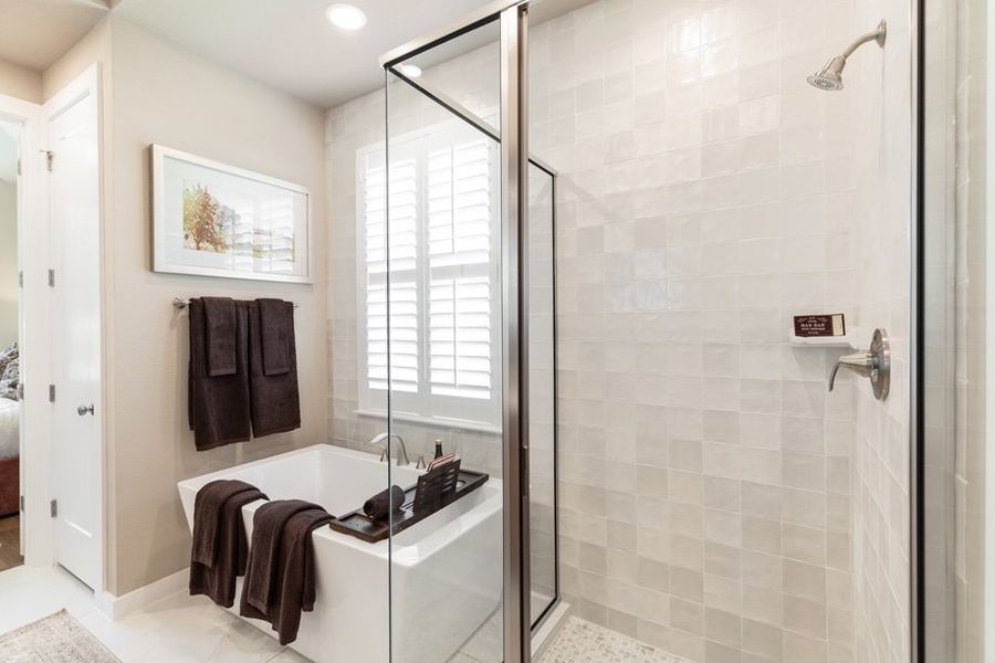 Representative Primary Bathroom - some options shown