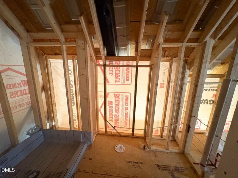 Photo Jan 19 2026, 9 59 28 AM (Medium)