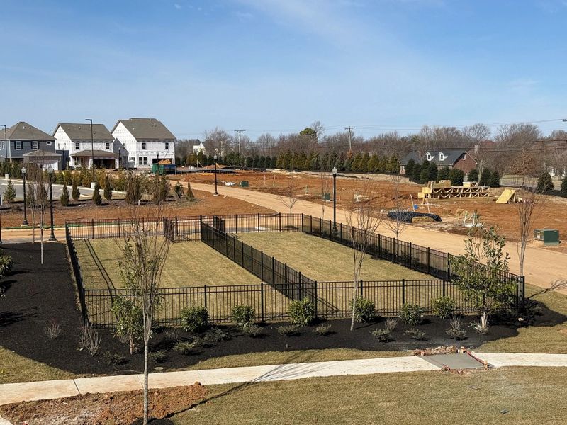 Community amenities in Promenade at Clari Park, Murfreesboro (Image 17).