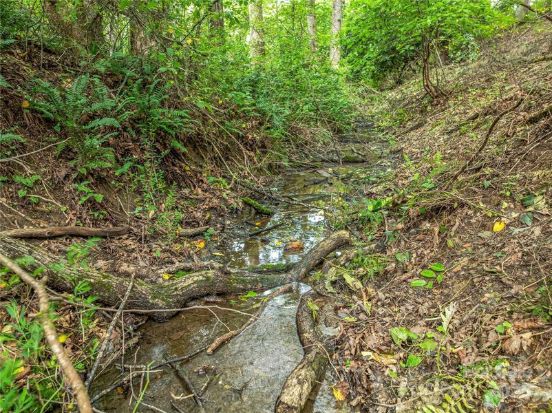 Natural landscape and outdoor views near  in Arden (Image 25).
