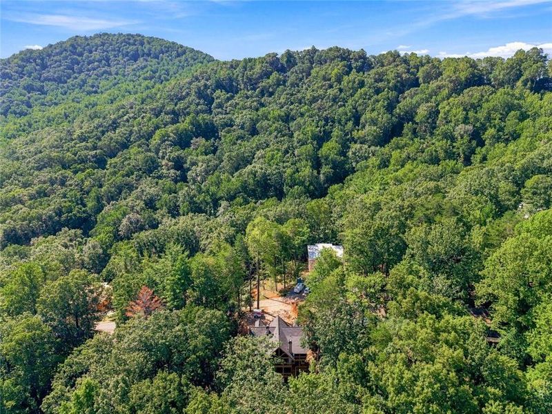 Natural landscape and outdoor views near  in Ellijay (Image 34).