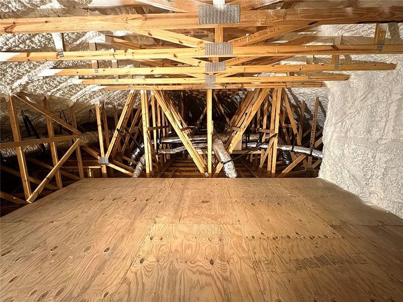 Large Attic Space